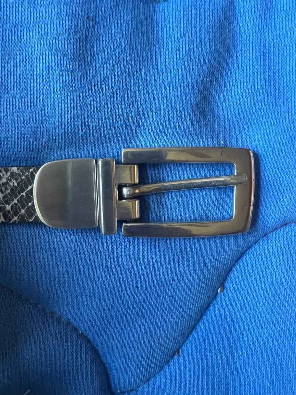 Coldwater Creek Twbersible Reptile Belt